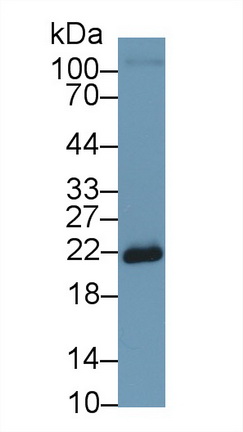 9745