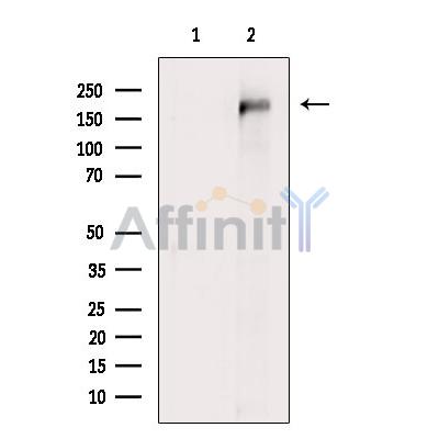 Валидация Affinity DF9491 - 22106