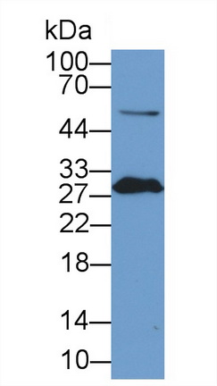 13391
