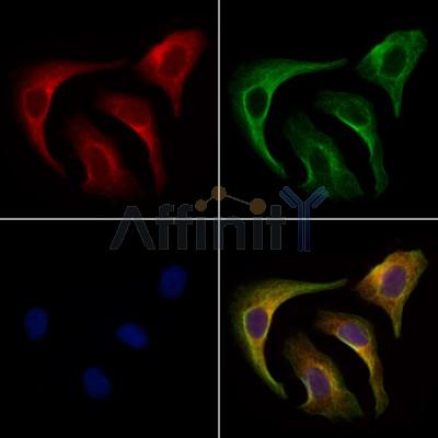 Валидация Affinity DF10178 - 5721