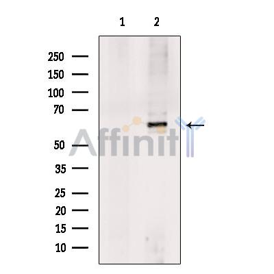 Валидация Affinity DF13499 - 8883