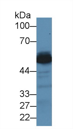 8374