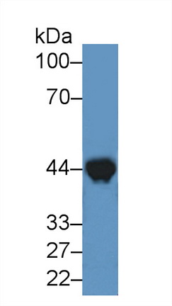 8351