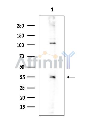 Валидация Affinity AF3744 - 2034
