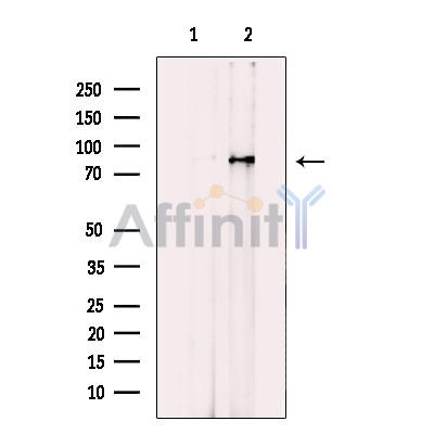 Валидация Affinity DF12032 - 6061