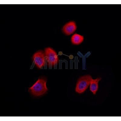 Валидация Affinity DF3878 - 15037