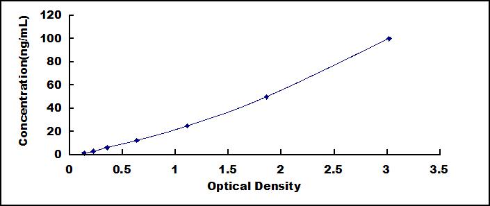 57706