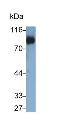 10159