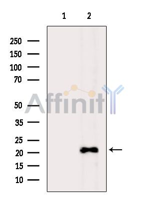 Валидация Affinity DF15815 - 12306