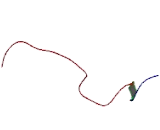 Myosin XVI (MYO16)