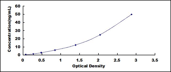 42063