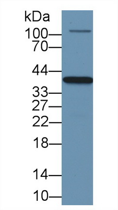 13413