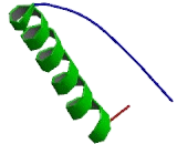 Tumor Protein p53 (TP53)