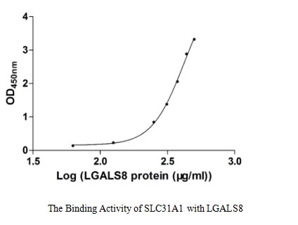 Функциональный ИФА: связывание LGALS8 с иммобилизованным SLC31A1