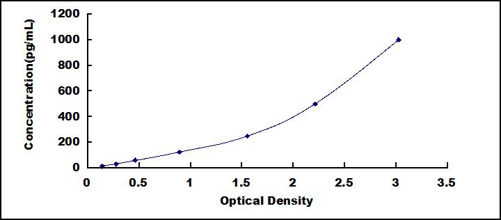 52491