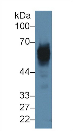 13502