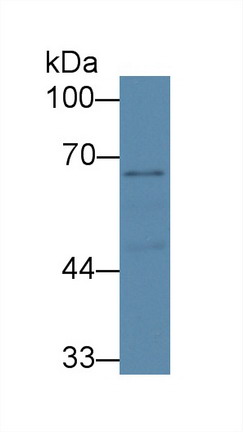 8899