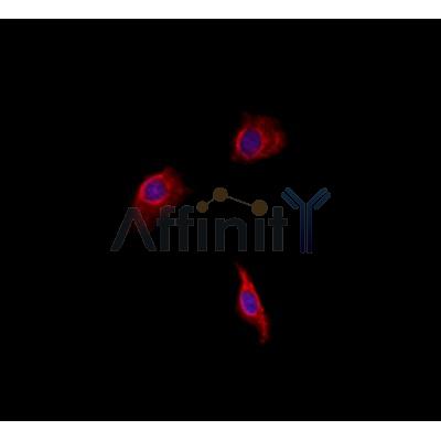 Валидация Affinity DF4618 - 16249