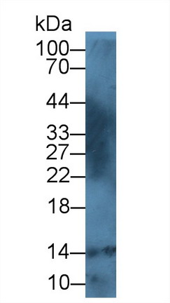 8540