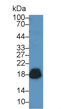 14768