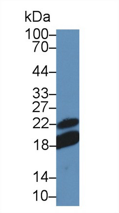 9769
