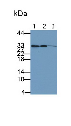 5121