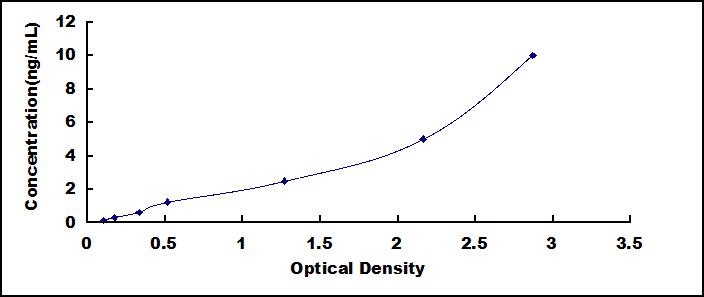 65177