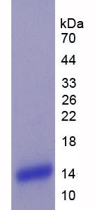 45888