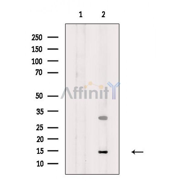 Валидация Affinity DF8806 - 20851
