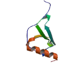 Beta-Thromboglobulin (bTG)