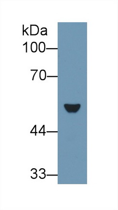 9670