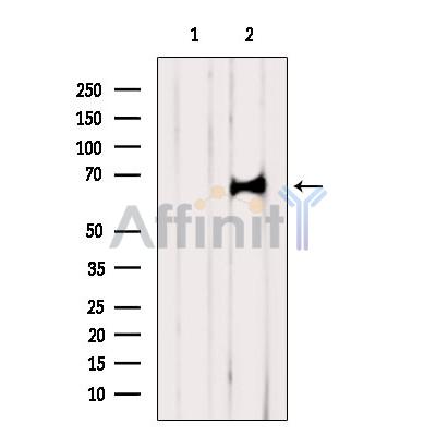 Валидация Affinity DF4326 - 15762