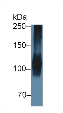 12541