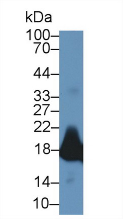 8439