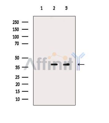 Валидация Affinity DF14350 - 10256