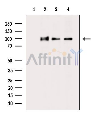 Валидация Affinity DF8293 - 20141
