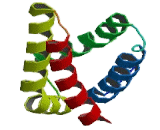 FK506 Binding Protein 12 Rapamycin Associated Protein (FRAP)