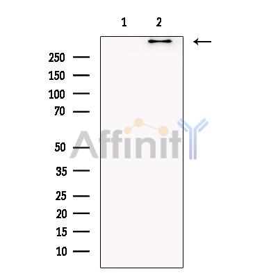 Валидация Affinity DF13472 - 8830
