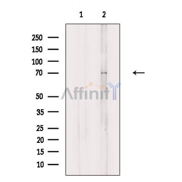 Валидация Affinity DF3765 - 14853