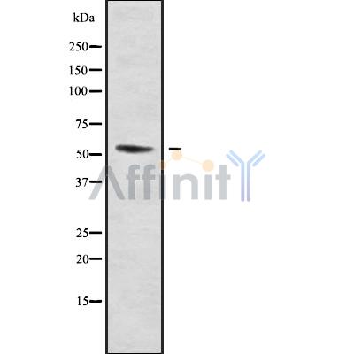 Валидация Affinity DF10050 - 5514