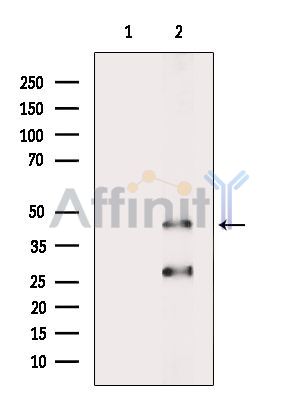 Валидация Affinity DF10230 - 5806