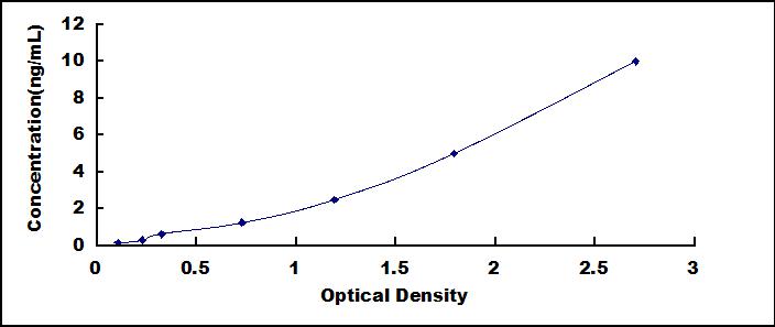 37494