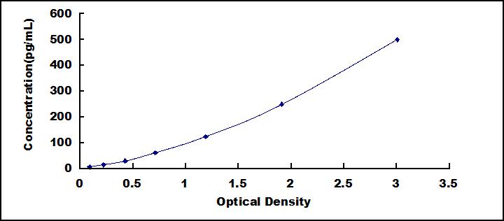64604