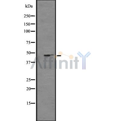Валидация Affinity DF4765 - 16474
