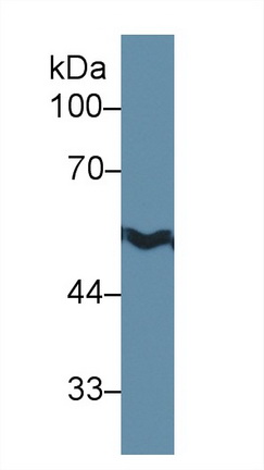 13322