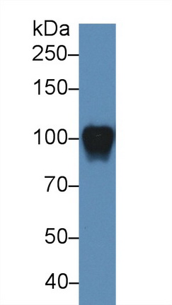 13933