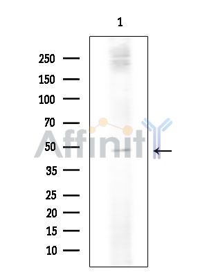 Валидация Affinity DF15213 - 11484