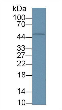 9674