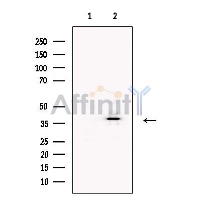 Валидация Affinity DF13482 - 8850