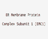 ER Membrane Protein Complex Subunit 1 (EMC1)